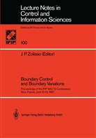 P Zolesio, J P Zolesio, J. P. Zolesio, J.P. Zolesio, Jean P. Zolesio - Boundary Control and Boundary Variations