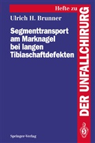 Ulrich H Brunner, Ulrich H. Brunner - Segmenttransport am Marknagel bei langen Tibiaschaftdefekten