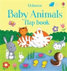 Rosalinde Bonnet, Sam Taplin &amp; Rosalinde Bonnet, Taplin, Sam Taplin, Rosalinde Bonnet, Mary Kilvert - Baby Animals Flap Book