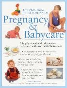 ALISON, Alison Mackonochie, Mackonochie Alison - The Practical Encyclopedia of Pregnancy & Babycare