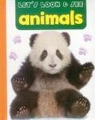 Armadillo, Armadillo - Let''s Look & See: Animals