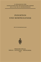 Wolfgang Beermann, Jea Brachet, Jean Brachet, F. Duspiva, Franz Duspiva, J. Gorman... - Induktion und Morphogenese