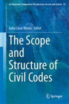 Juli César Rivera, Julio César Rivera, Julio Cesar Rivera, Julio César Rivera - The Scope and Structure of Civil Codes