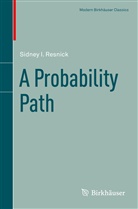 Sidney I Resnick, Sidney I. Resnick - A Probability Path