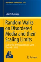 Takashi Kumagai - Random Walks on Disordered Media and their Scaling Limits