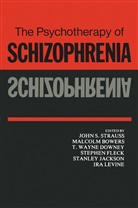 Malcolm Bowers, T. Wayne Downey, Stephen Fleck, Stanley Jackson, Ira Levine, Joh S Strauss... - The Psychotherapy of Schizophrenia