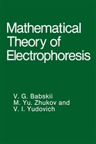 V Babskii, V G Babskii, V. G. Babskii, V.G. Babskii, V. I. Yudovich, V I Yudovich... - Mathematical Theory of Electrophoresis