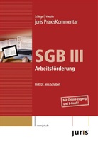 Rainer Schlegel, Jens Schubert, Thoma Voelzke - SGB III Arbeitsförderung
