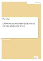 Olaf Krüger - Kommunikation und Arbeitseffizienz in interdisziplinären Gruppen