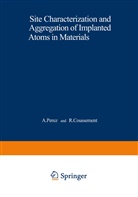 COUSSEMENT, Coussement, R. Coussement, Perez, A Perez, A. Perez - Site Characterization and Aggregation of Implanted Atoms in Materials
