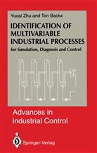 Ton Backx, Yuca Zhu, Yucai Zhu - Identification of Multivariable Industrial Processes