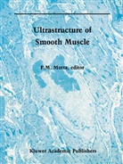 Motta, P Motta, P. Motta, Pietro M. Motta - Ultrastructure of Smooth Muscle