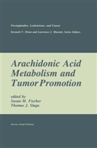 Susan M. Fischer, J Slaga, J Slaga, Thomas J. Slaga, Susa M Fischer, Susan M Fischer... - Arachidonic Acid Metabolism and Tumor Promotion