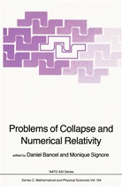Bancel, D Bancel, D. Bancel, Daniel Bancel, Signore, Signore... - Problems of Collapse and Numerical Relativity