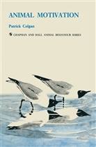 Patrick Colgan - Animal Motivation