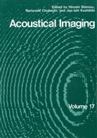 Noriyosh Chubachi, Noriyoshi Chubachi, Jun-Ichi Kushibiki, Ju Kushibiki, Jun-Ichi Kushibiki, Hirosh Shimizu... - Acoustical Imaging