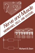 R Stein, R. Stein, Richard Stein, Richard B. Stein - Nerve and Muscle