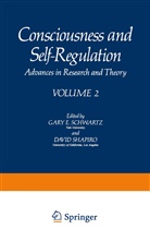 Gary Schwartz, Gary E. Schwartz, David Shapiro - Consciousness and Self-Regulation