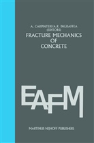 A. Carpinteri, Albert Carpinteri, Alberto Carpinteri, A. R. Ingraffea, Anthony R. Ingraffea, R Ingraffea... - Fracture mechanics of concrete: Material characterization and testing