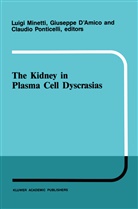 D'Amico, G D'Amico, G. D'Amico, Giuseppe D'Amico, Luigi Minetti, Claudio Ponticelli... - The kidney in plasma cell dyscrasias