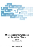 Miche Mareschal, Michel Mareschal - Microscopic Simulations of Complex Flows
