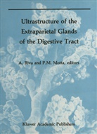 Motta, Motta, P. Motta, Pietro M. Motta, Alessandro Riva, Allessandr Riva... - Ultrastructure of the Extraparietal Glands of the Digestive Tract
