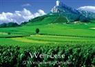 Calvendo - Wein-Lese (Tischaufsteller DIN A5 quer)