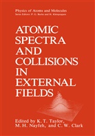 C. W. Clark, C. W. Clark, C.W. Clark, H Nayfeh, M H Nayfeh, M. H. Nayfeh... - Atomic Spectra and Collisions in External Fields