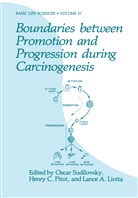 L A Liotta, Henr C Pitot, Henry C Pitot, L. A. Liotta, L.A. Liotta, Lance A. Liotta... - Boundaries between Promotion and Progression during Carcinogenesis