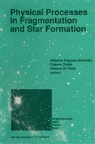 Roberto Capuzzo-Dolcetta, Chiosi, C Chiosi, C. Chiosi, Cesare Chiosi, Alberto Di Fazio... - Physical Processes in Fragmentation and Star Formation