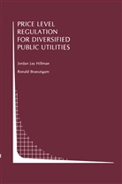 Ronald Braeutigam, Ronald R. Braeutigam, Jordan Hillman, Jordan J Hillman, Jordan J. Hillman, Jordan Jay Hillman... - Price Level Regulation for Diversified Public Utilities