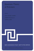 J. -M Andre, Jean-Marie Andre, J. -M. André, J.-M. André, Jean-Marie André, Delhalle... - Quantum Theory of Polymers