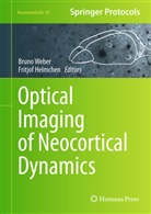 Helmchen, Helmchen, Fritjof Helmchen, Brun Weber, Bruno Weber - Optical Imaging of Neocortical Dynamics