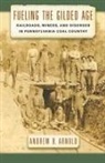 Andrew Arnold, Andrew B Arnold, Andrew B. Arnold, Andrew Bernard Arnold - Fueling the Gilded Age