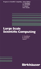 Deuflhard, Deuflhard, P. Deuflhard, B. Engquist - Large Scale Scientific Computing