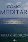 Pema Chodron, Pema Chödroön - Como Meditar