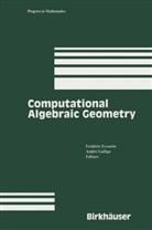 Frederi Eyssette, Frederic Eyssette, Frédéric Eyssette, Galligo, Galligo, Andre Galligo... - Computational Algebraic Geometry