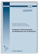 Ute Effner, Markus Krause, Martin Krause, Boris Milmann - Hochgenaue Strukturerkennung von Holzbauteilen mit 3D-Ultraschall. Abschlussbericht