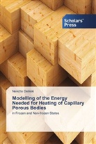 Nencho Deliiski - Modelling of the Energy Needed for Heating of Capillary Porous Bodies