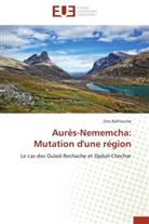 Zine BAKHOUCHE, Bakhouche-Z - Aures nememcha: mutation d une