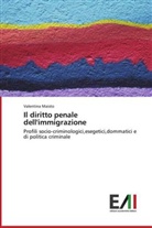Valentina Maisto - Il diritto penale dell'immigrazione
