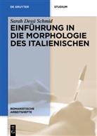 Sarah Dessi Schmid, Sarah Dessì Schmid - Einführung in die Morphologie des Italienischen
