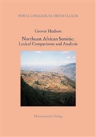 Grover Hudson - Northeast African Semitic: Lexical Comparisons and Analysis