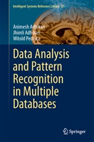 Animes Adhikari, Animesh Adhikari, Jhiml Adhikari, Jhimli Adhikari, Witold Pedrycz - Data Analysis and Pattern Recognition in Multiple Databases