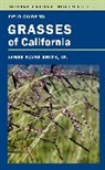 J. P. Smith, James P. Smith, James P. Jr. Smith, Kathy Simpson, Simpson Kathy - Field Guide to Grasses of California