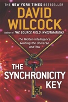 David Wilcock - The Synchronicity Key