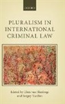 Elies van Sliedregt, Elies Van Vasiliev Sliedregt, Elies van Sliedregt, Sergey Vasiliev, Elies van Sliedregt, Elies van Sliedregt... - Pluralism in International Criminal Law