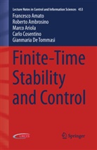 Francesc Amato, Francesco Amato, Robert Ambrosino, Roberto Ambrosino, Marco Ariola, Carlo Cosentino... - Finite-Time Stability and Control