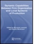 Riccardo Montresor Leoncini, Riccardo Leoncini, Sandro Montresor - Dynamic Capabilities Between Firm Organisation and Local Systems of