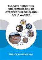Pimluck Kijjanapanich, Pimluck (Unesco-Ihe Institute for W Kijjanapanich, Pimluck (UNESCO-IHE Institute for Water Education Kijjanapanich, Kijjanapanich Pimluck - Sulfate Reduction for Remediation of Gypsiferous Soils and Solid Waste